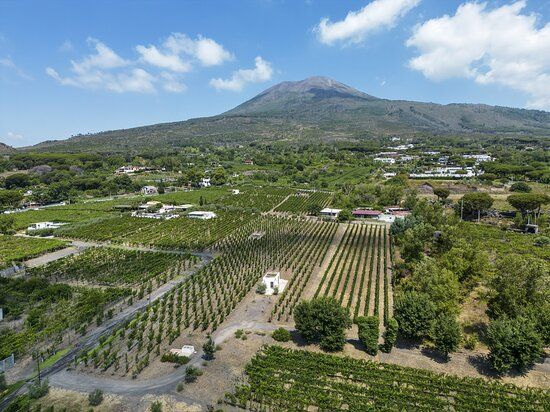 Herculaneum, Mt. Vesuvius, Wine Tasting & Light Lunch