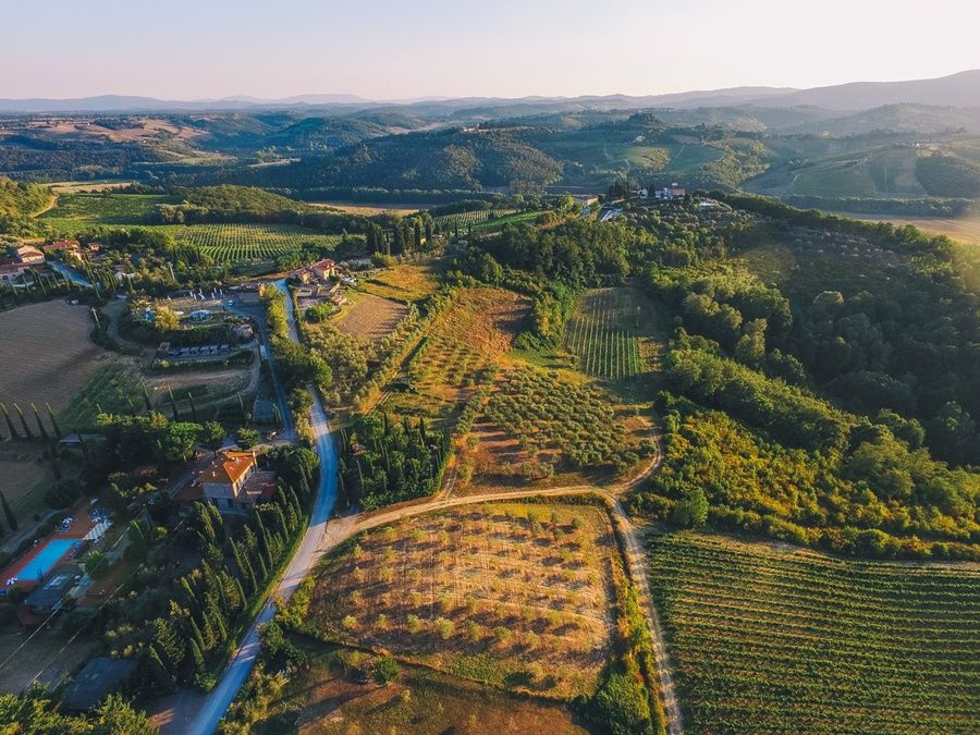 Chianti Region & San Gimignano