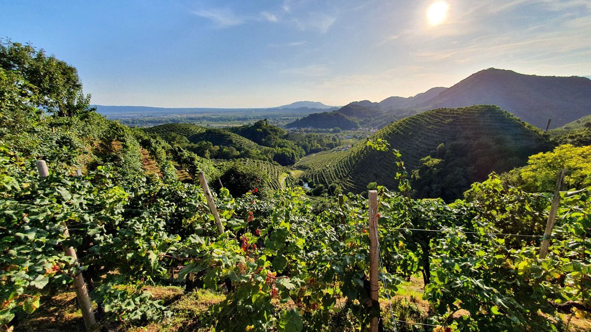 Countryside Food Tour