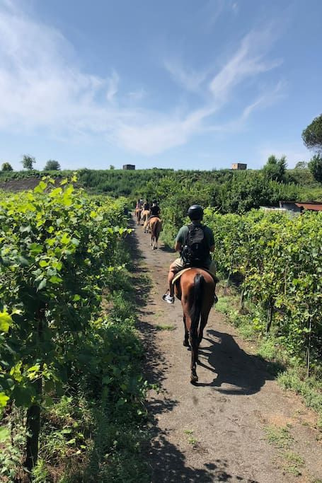 Pompeii, Wine Tasting and Horseback Adventure - All Inclusive