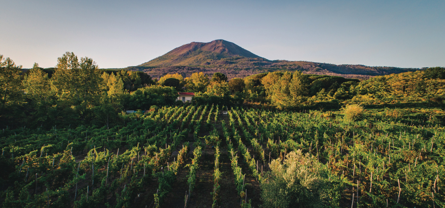 Pompeii, Vesuvius & Winery All Inclusive