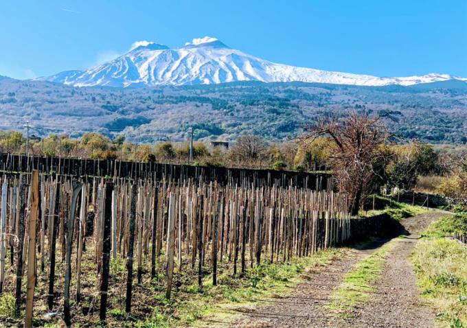 Etna Food & Wine Experience