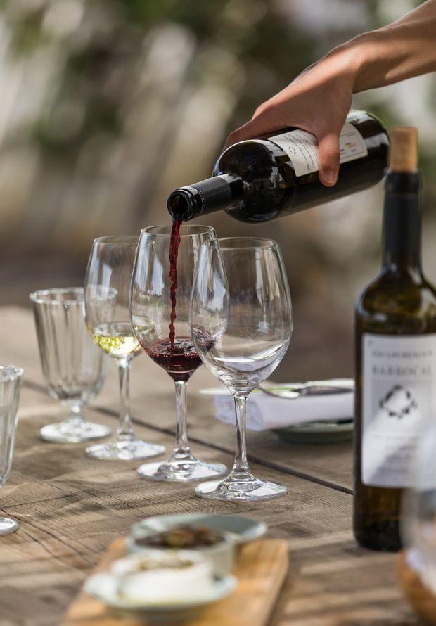 Wine Tasting in Campania Region